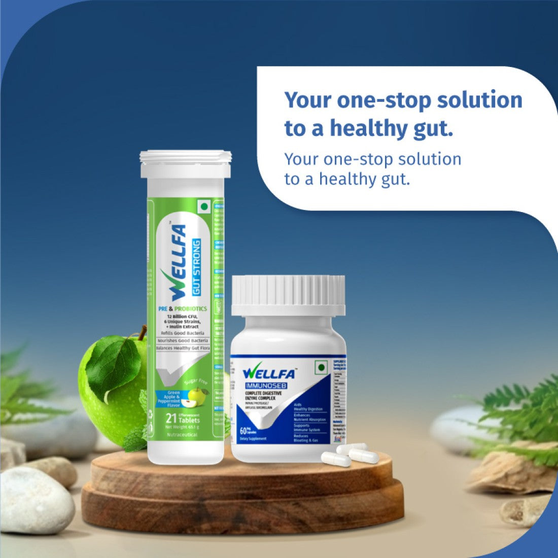 Wellfa Ultimate Digestive Bundle
