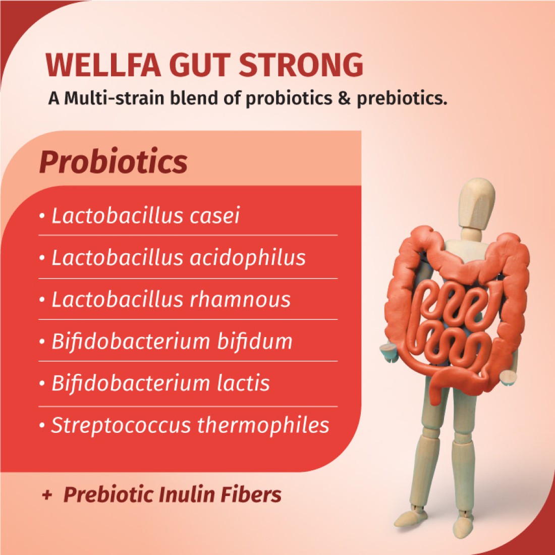 Wellfa Weight Management Combo