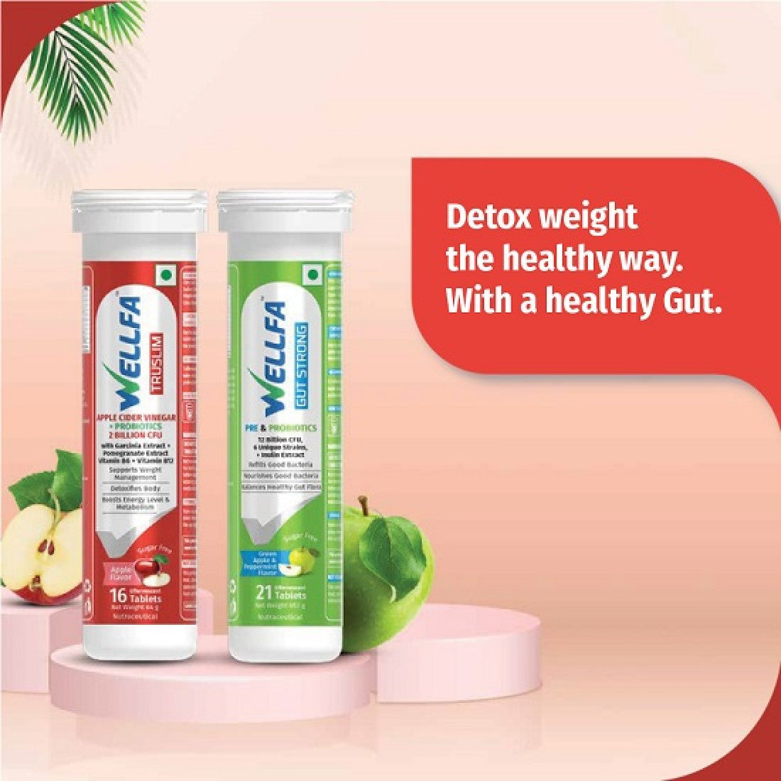 Wellfa Weight Management Combo