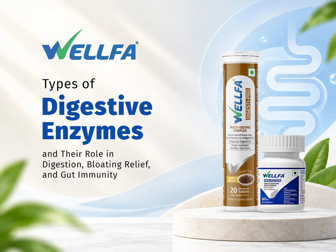 Types of Digestive Enzymes - Digesti Pro