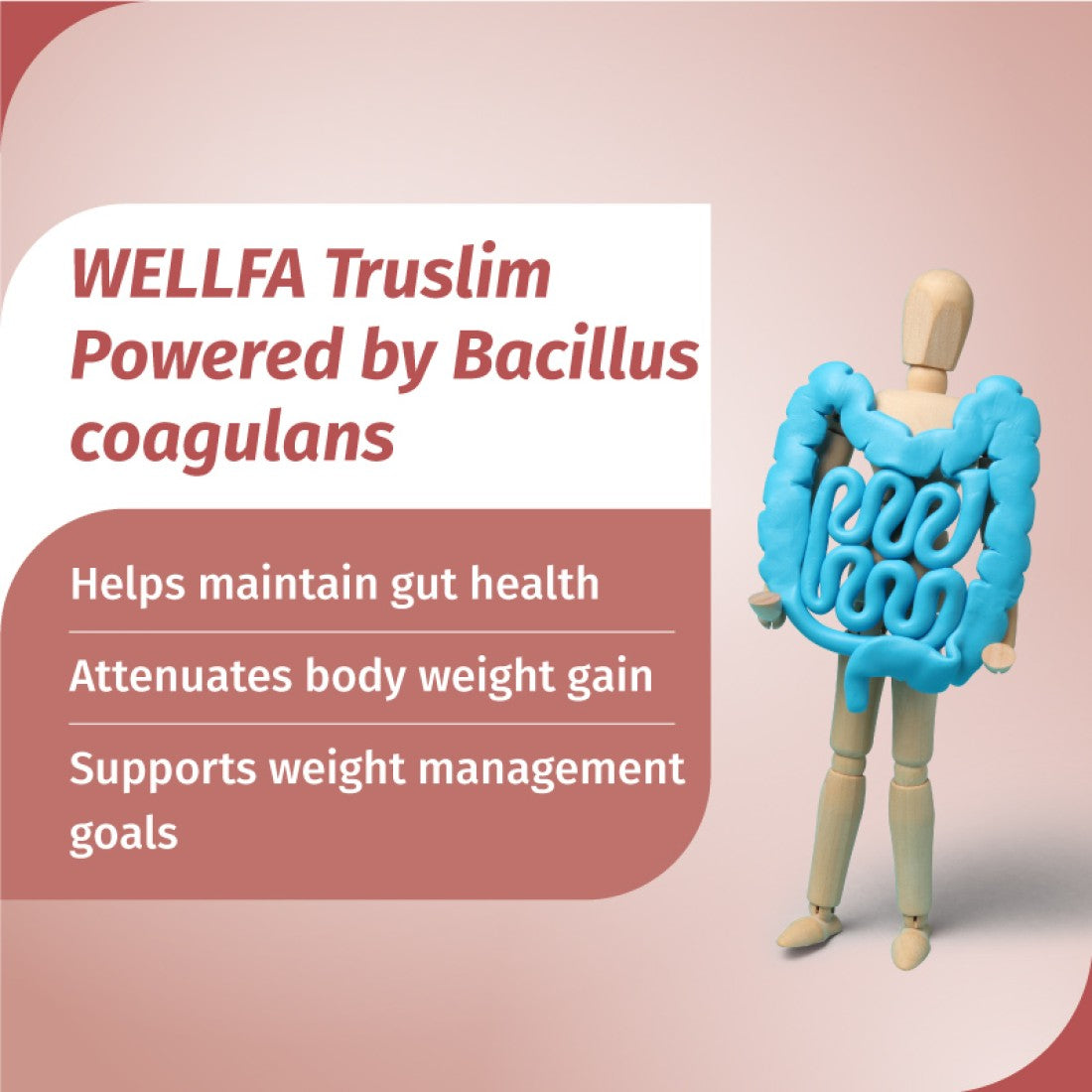 Wellfa Truslim Powered by Bacillus Coagulans