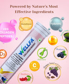 Wellfa Collagen Boost- 100% Plant Based | 1000mg Vegan Collagen Peptides- Hyaluronic Acid | Blueberry & Mint Flavor Effervescent Tablets for Glowing Youthful Skin & Strong Hair | No Sugar Skin Nutrition