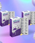 Wellfa Sleepwell Pack of 3