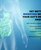 WELLFA IMMUNOSEB A Complete Digestive Enzymes Complex for Healthy Digestion