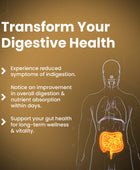 Wellfa Digesti-Pro - Multi-Enzyme Complex with Cumin extract for Instant Relief from Indigestion, Gas & Heartburn | Delicious Cumin Flavor Effervescent Tablets