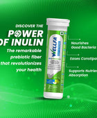 WELLFA INDEPENDENCE DAY TRIO OFFER- Wellfa Reload Pre & Probiotics, Wellfa Collagen+ & Wellfa Gut Strong