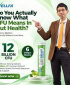 Wellfa Gut Strong - Buy Gut Health Supplement & Immunity Booster Tablets - Powered with 12 Billion CFU of 6 Unique Strain Probiotics & Prebiotic Inulin - Green Apple Flavor Effervescent Tablets