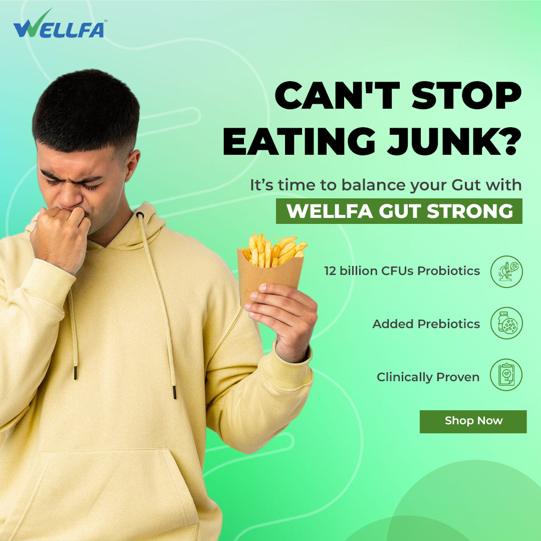 WELLFA GUT STRONG Multi-Strain Probiotics + Prebiotic for Gut & Digestive Health